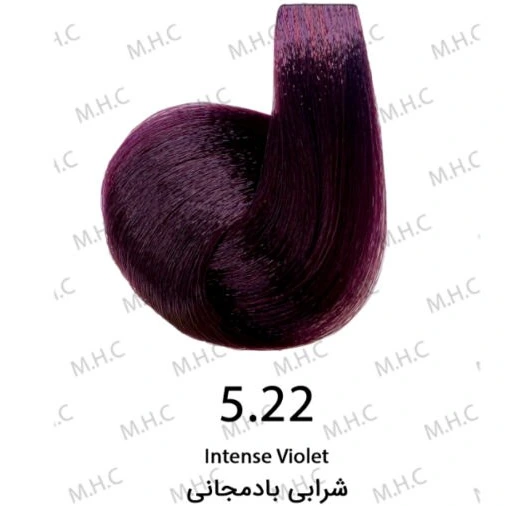 رنگ موی بیول بادمجانی تیره ۵.۲۲